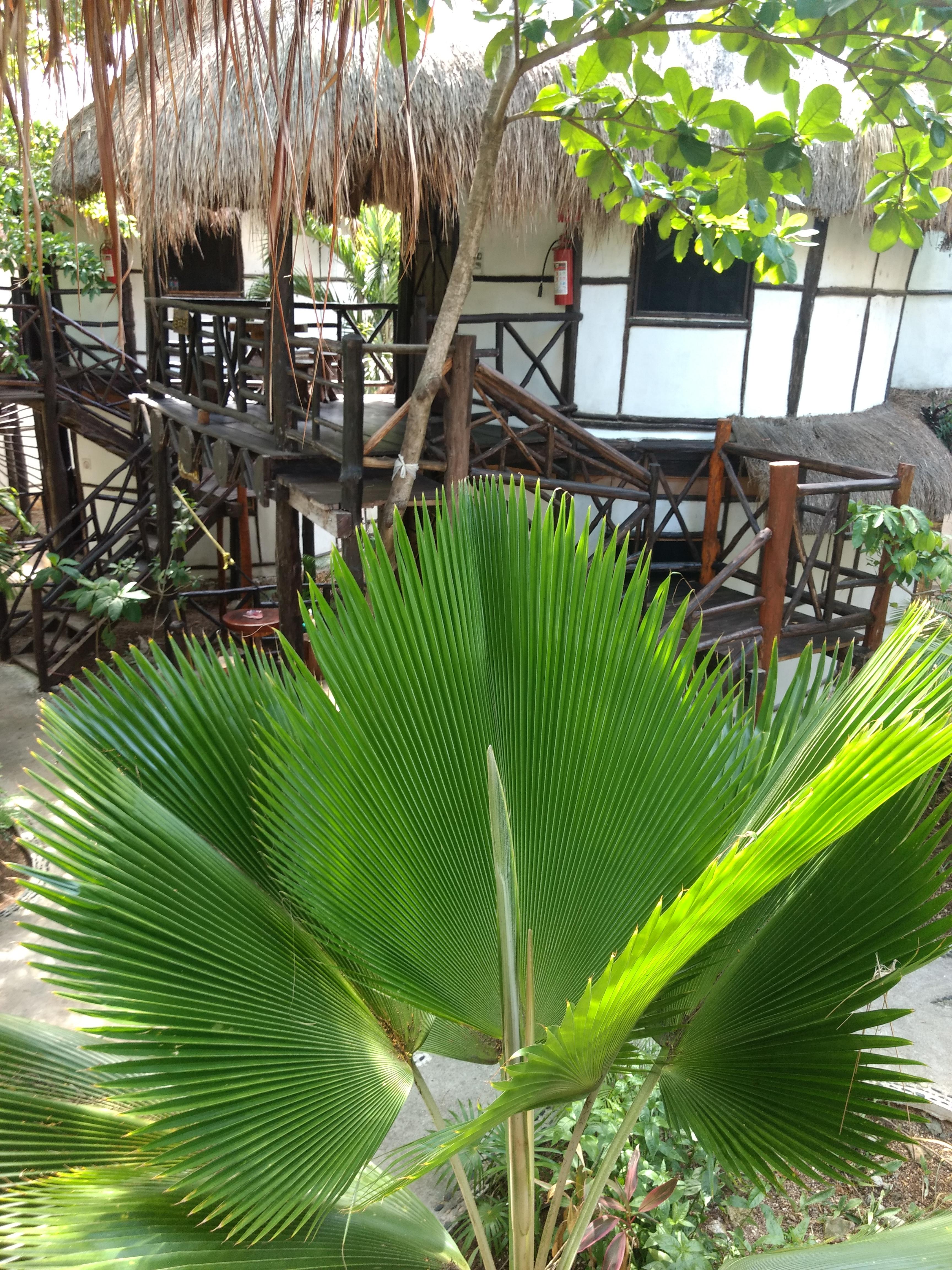 Green Tulum Cabanas & Gardens Kültér fotó